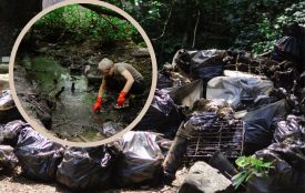 Врятуйте річку Скельну. Вінничан кличуть на велике прибирання