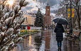 Погода різко зміниться: коли чекати снігу та заморозків у Вінниці