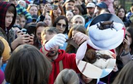 Після зимової реабілітації 150 кажанів випустили на волю в Центральному парку