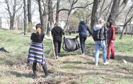 Передвеликодня толока у Вінниці — вздовж вулиці Генерала Арабея прибрали п'ять кілометрів території