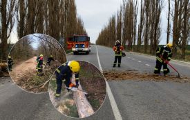 На Вінниччині вирує негода. Сильний вітер повалив дерева у чотирьох громадах