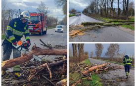 Негода лютує: повалені дерева та заблоковані траси — як рятувальники Вінниччини борються зі стихією
