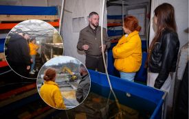 Ветеран відкрив креветкову ферму на Вінниччині  та розповів як відбуваються процеси всередині