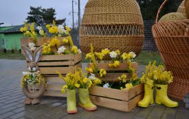 Яскраві весняні локації з’явились у Подільському зоопарку. Графік роботи та пільги для відвідувачів