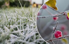 Вінниччину з понеділка накриють сильні заморозки. Синоптики розповіли коли чекати на потепління