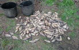 У селі Кушелівка чоловік наловив карасів на сім мільйонів гривень