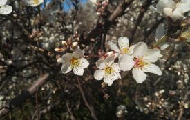 Сьогодні з іменинами вітаємо Івана й Антона. Історія, заборони та прикмети 14 квітня