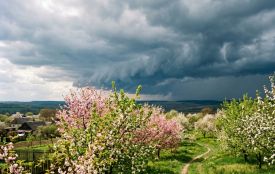Коли у Вінниці потеплішає до +18 та знову повернуться зливи? ПРОГНОЗ