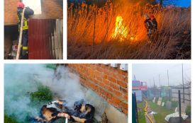 Від автівок до екосистем: на Вінниччині за добу загасили сім пожеж