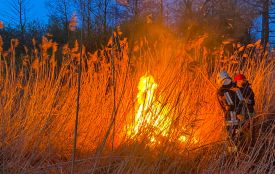 Ваша «чистота» отруює сусідів: вісім мобільних груп щодня виїжджають на боротьбу з паліями