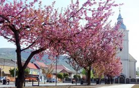 День апостола Марка, науки, фінансів і світових ініціатив. Історія та прикмети 25 квітня