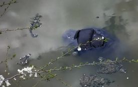 Трагедія на ставку в Піщанській громаді — рятувальники дістали з води тіло 60-річного чоловіка