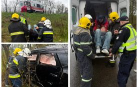 Вилетів з дороги і врізався в дерево: поблизу Тарасівки рятувальники деблокували 59-річного водія