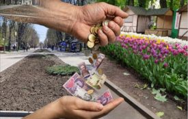 Не на часі. Чому у Вінниці паркові клумби заростають торішнім листям, а в Луцьку та Ковелі — квітами?
