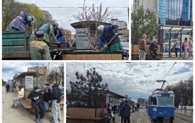 Вуличні кашпо з сакурою та сосною переїхали на трамвайну зупинку біля медуніверситету