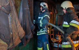 Через пожежу в Джулинській громаді загинула 87-річна жінка