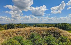 Передскіфська спадщина у Сокиринцях: державі повернули вісім гектарів історичної землі