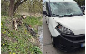 Смертельна аварія у Зозові та наїзд на «зебрі» у Вінниці. Розслідують ДТП з 17-річними підлітками