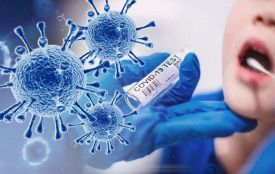 На Вінниччині зафіксували перший випадок нового субваріанту covid-19 «Цикада»