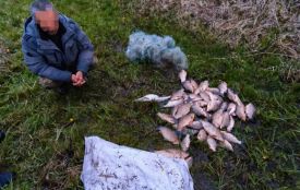 Браконьєр із Хмільницької громади заплатить 81 тисячу гривень за незаконний вилов риби