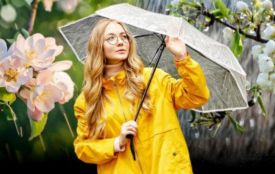 Заморозки та штормовий вітер чекають на вінничан наприкінці квітня. Детальний прогноз на робочий тиждень