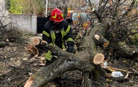 Майже сотня виїздів за добу та госпіталізація у Козятині: наслідки потужного буревію