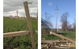 Сильний вітер залишив без світла понад 60 тисяч абонентів