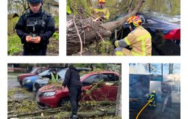 Пожежі на СТО та «сюрпризи» в городах: як минула доба у вінницьких надзвичайників