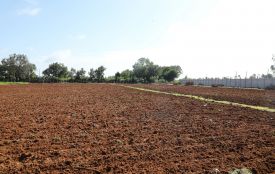 Вкрали землю на 12 мільйонів: директор підробив документи та «посунув» межі міста у кадастрі