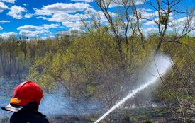 У Вінниці сусіди врятували пенсіонерку, яка не виходила на зв’язок