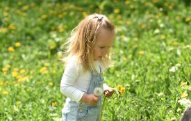 Після серії нічних морозів до України прийде справжнє тепло