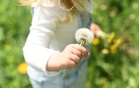 Сьогодні вітаємо Богдана та Артема. Історія та прикмети 29 квітня