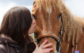 Коні лікують: як на Вінниччині відновлюють поранених захисників