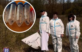 Кліщі прокинулися майже всі одночасно — у регіоні фіксують випадки хвороби Лайма