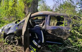 Аварія біля Марківки: 35-річний водій злетів у кювет і врізався в дерево