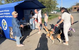 Вінничани активно ведуть улюбленців на щеплення: 350 вакцинацій за два дні роботи виїзних бригад