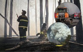 Масштабна пожежа у Чорнобильській зоні. Чи є загроза для Вінниччини та що кажуть екологи