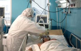 Б’є по легенях та нирках — усе що варто знати про спалах хантавірусу