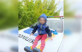 Вийшов за собакою і опинився на рейках. На Вінниччині 2-річного хлопчика шукали всім селом