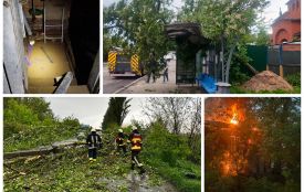 Блискавка підпалила дах будівлі, а вітер трощив дерева — наслідки негоди на Вінниччині