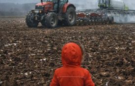 «Орали і будемо орати»: пам’ятку Трипілля знищують з дозволу суду?