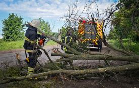 Через негоду на Вінниччині падали дерева та блокували автошляхи