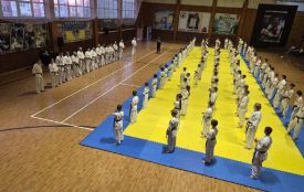 Півтисячі юних вінницьких каратистів пройшли атестацію на пояси