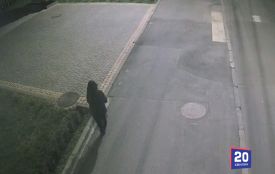Камери все зняли: у Вінниці шукають жінку, яка поцупила кущ барбарису