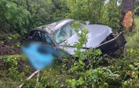 П’яний водій Audi біля Сокиринець влетів у дерево. Загинула 24-річна вінничанка