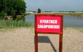 Кишкова паличка та яйця аскарид: вінницькі водойми стали небезпечними для купання