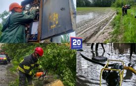 Вітер валив дерева, дощ затоплював подвір’я: як Вінниччина пережила негоду