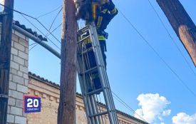 Рятувальники знімали тіло з дротів: у Калинівці загинув 82-річний чоловік