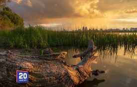 Вітаємо Василя та Якова. Історія, заборони та прикмети 12 червня