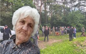 Пішла в ліс по ягоди та зникла: на Вінниччині тривають пошуки 78-річної жінки